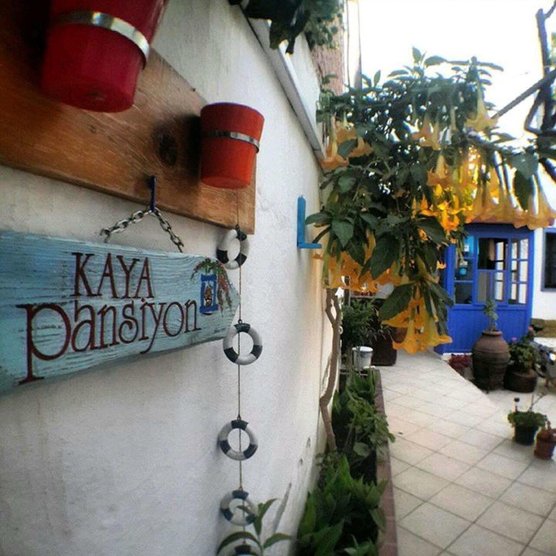 Kaya &